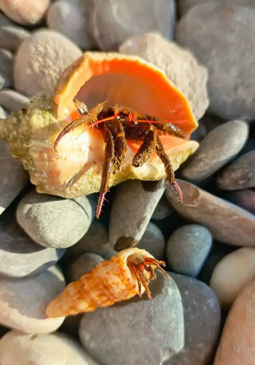 Янина Павленко: Три дня до весны Ялта готовится к курортному сезону – к встрече с любимыми гостями Янина Павленко: Три дня до весны Ялта готовится к курортному сезону – к встрече с любимыми гостями