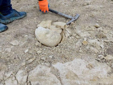 � ����������� ����� ������� ������