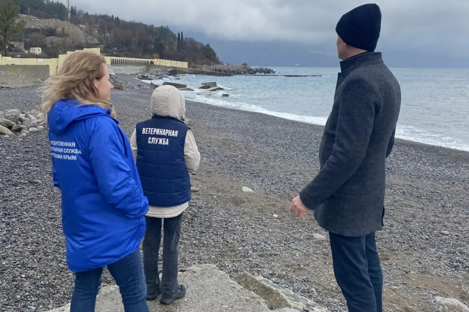 � ���� � ������ �������� ����������� � ������ ��������� ������ ����ͻ