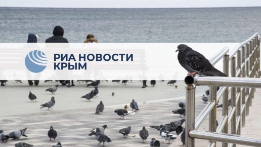 �������� ��� ������ ����� � ������ ������ �������� � ������� �� ����