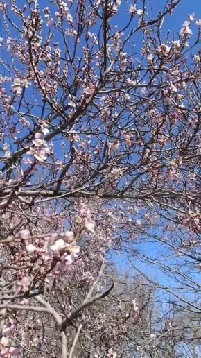 ������ ��� ��������, ��� � ��