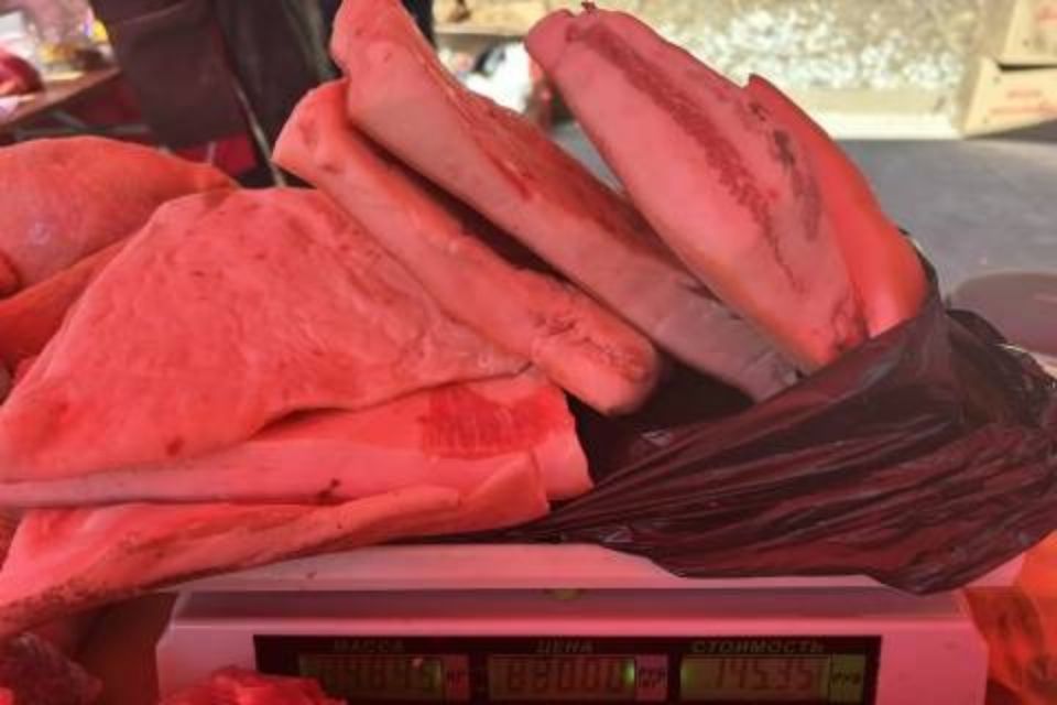 ������������� ������� �������� ��������� �� �������������������� ������� � �.����