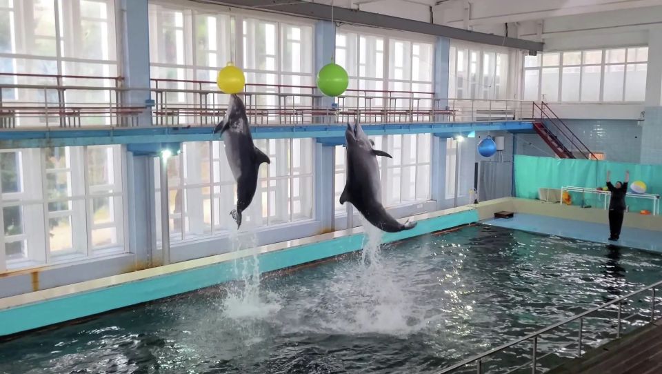 ������� ��������� ������� � ���������� ���� � �����: ����������� ���������� �������� ������ � 8 �����