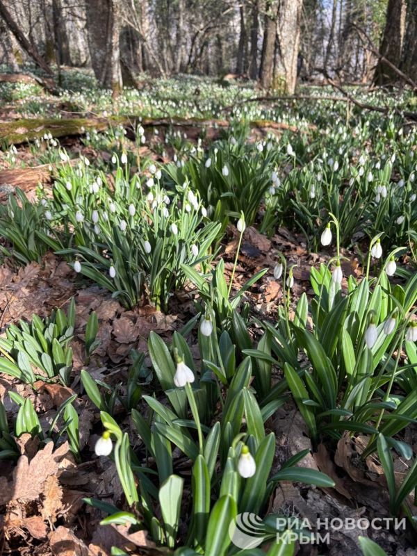 ������, ���� � ����� � ��������� �������� ����, �� ��� ��?