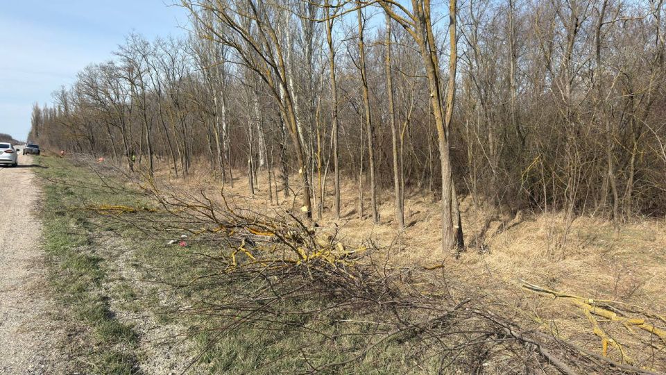 ����� ������: � ������������ ������ ���������� ������� ������������� ������� ������������� ���������� � ��������� ����������� ���������� � �������� ������� �������� ����� ������