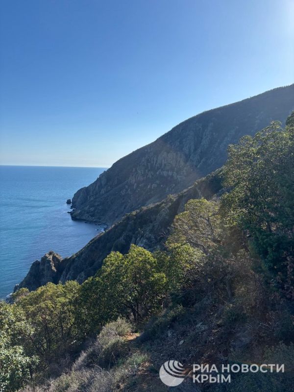 ������, ���� � ����� � ��������� �������� ����, �� ��� ��?