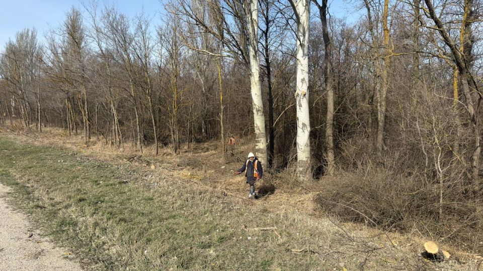 ����� ������: � ������������ ������ ���������� ������� ������������� ������� ������������� ���������� � ��������� ����������� ���������� � �������� ������� �������� ����� ������