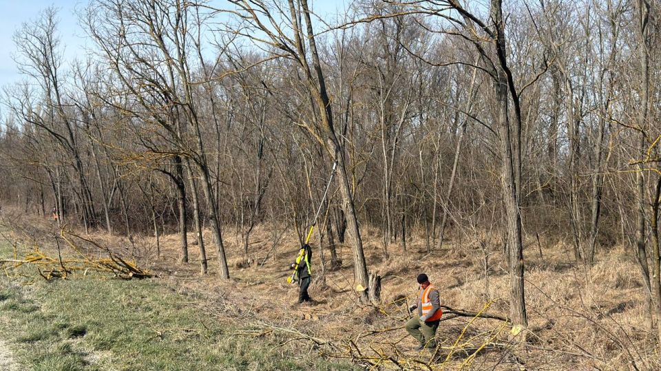 ����� ������: � ������������ ������ ���������� ������� ������������� ������� ������������� ���������� � ��������� ����������� ���������� � �������� ������� �������� ����� ������