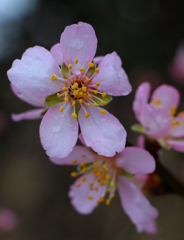 �������� ���������. ������� ����� � ������