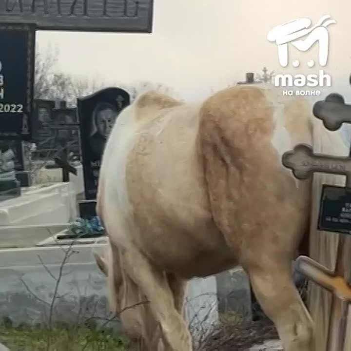 "�������� �� ���� � ���������"