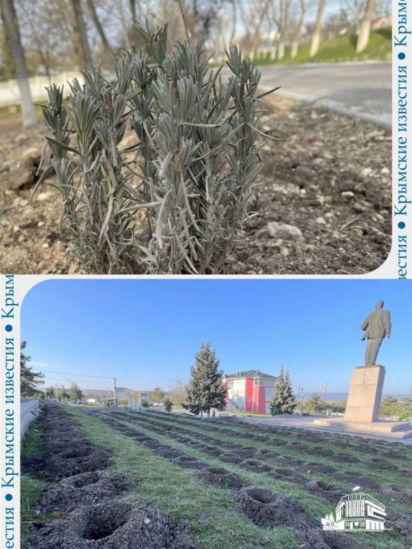 900 ������ ������� ������� � ����������