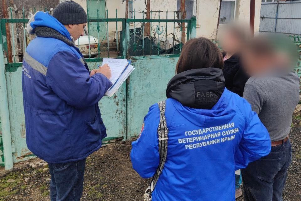 � �������������� ������ � ���������������� ��������������� ��������� ���������