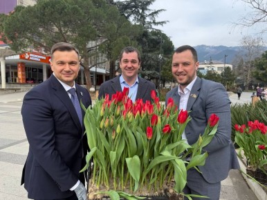 ���������� �����������: � �������������� �������� ��� ����������� ���������� �������� �������� ��������