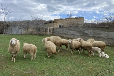 ������������� ������������� ��������� ������������ ���������� ���� ��������� ������ ������