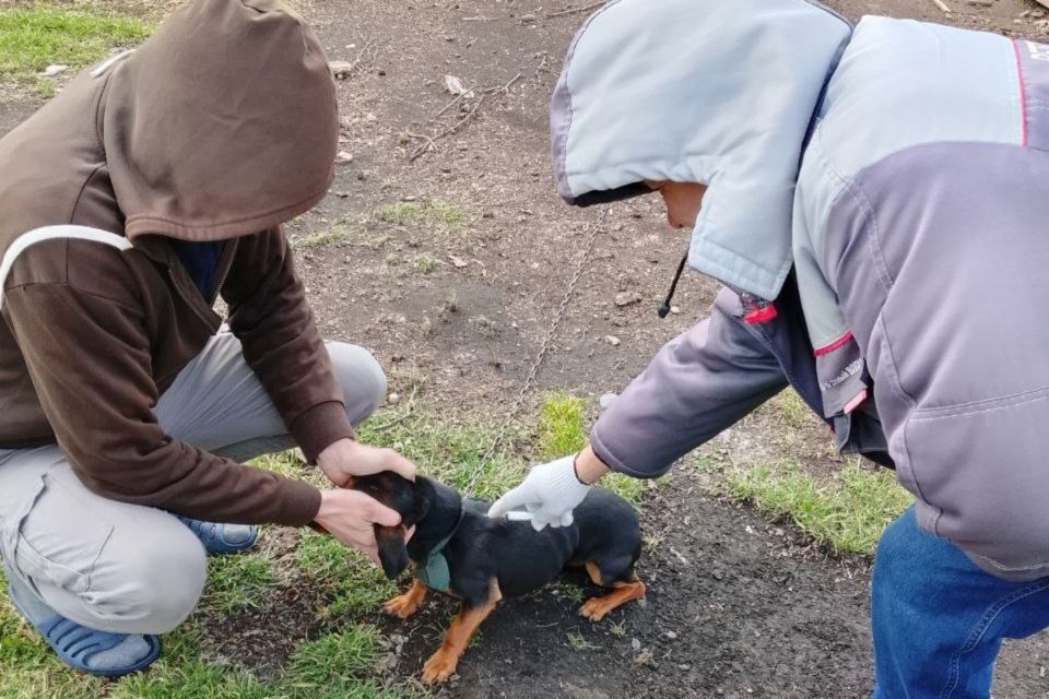 �������������� ���������� ������ ��������� �������� � �. ��������, ����������� �����