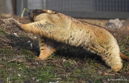 � �������� � ����� ���������� �������