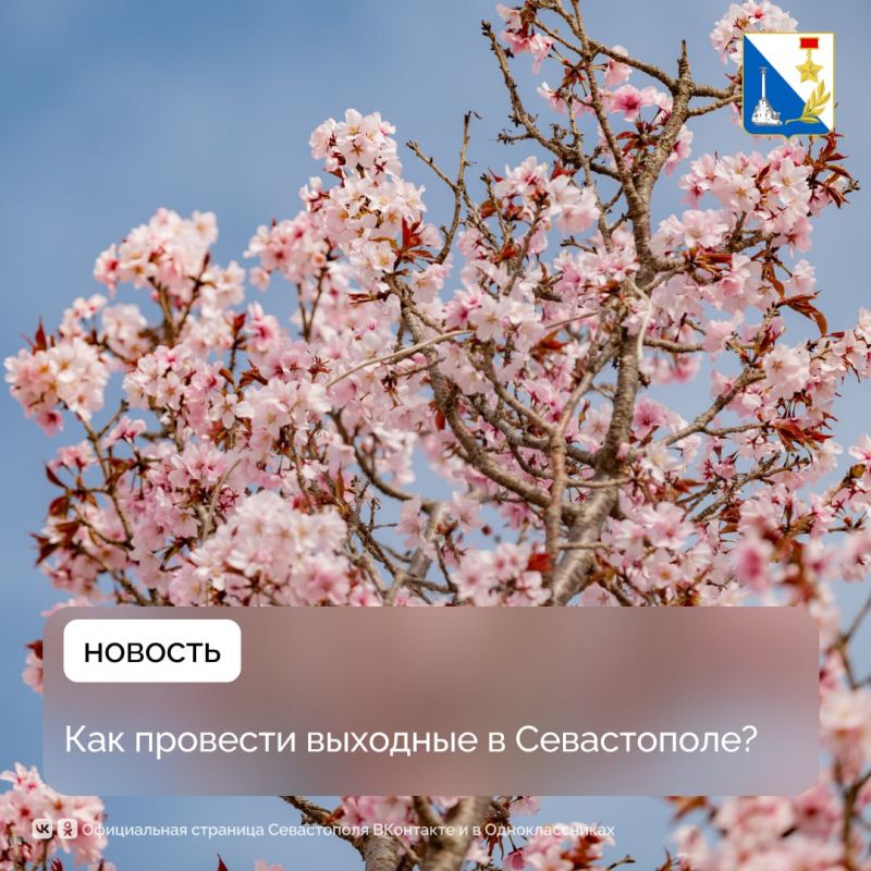 Участвуйте в бесплатных мероприятиях на этих выходных