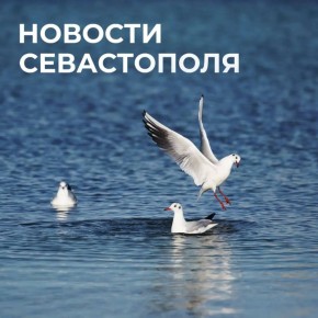 ������ ���������: ������� � �������:. ���� �����: ��������� � ���������� ����������� ����������� �������� ������������� ����������� ������ ����� �� �����