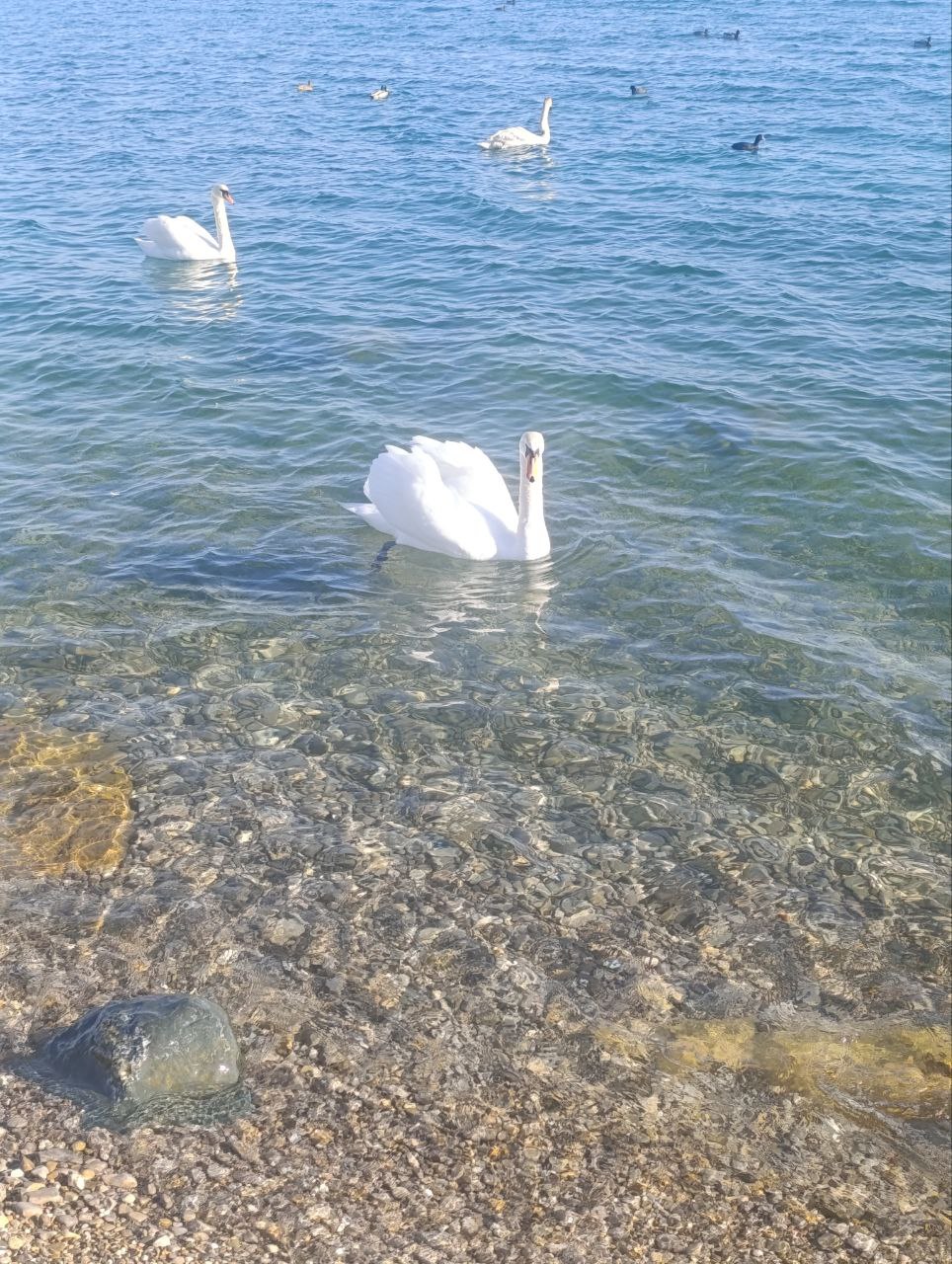 Первые весенние праздники в Крыму Первые весенние праздники в Крыму