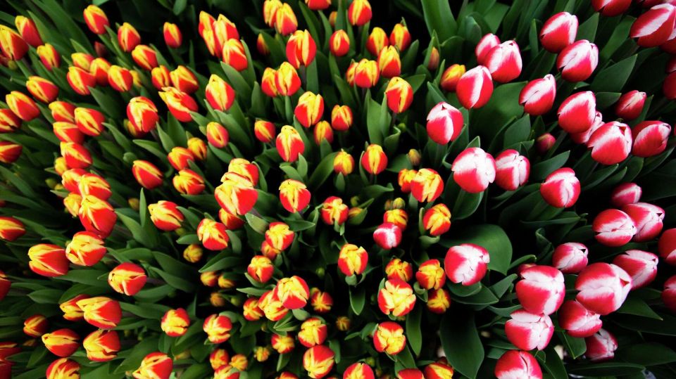 ���� ������ � ����� ��� ������: ������ ����� ���������� � 8 �����