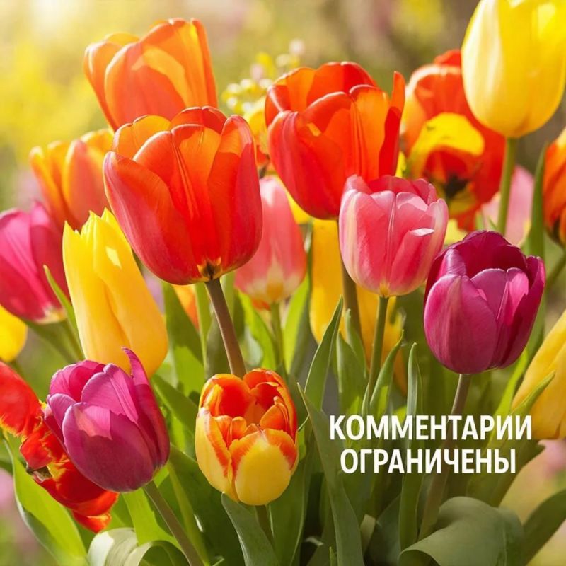 ���� �����: ��������� ��������� ������ ����������!