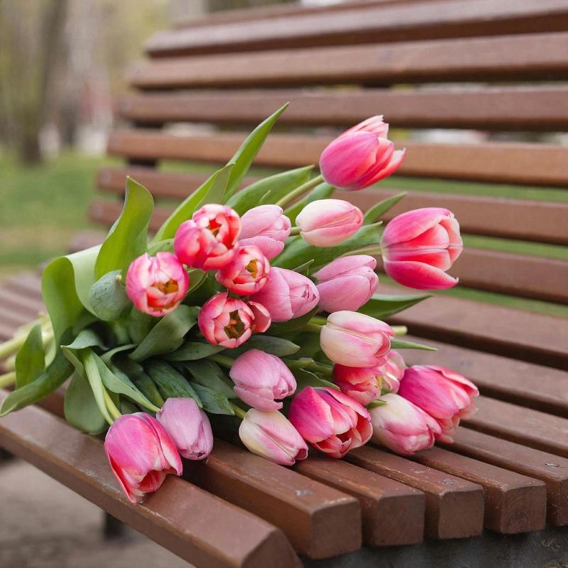 ������� ������ � ����� �� 8 �����