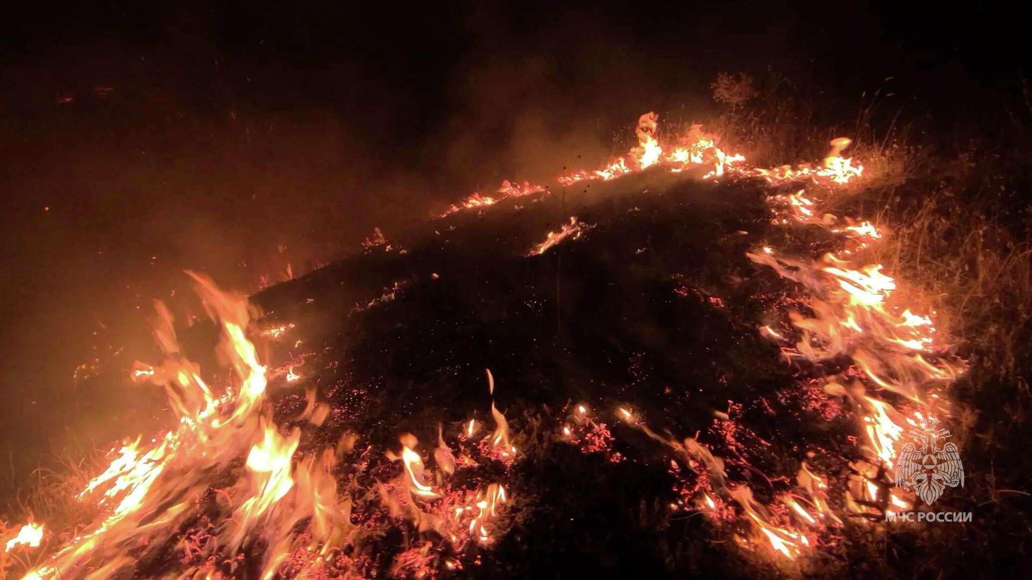 В Крыму вспыхнул лесной пожар