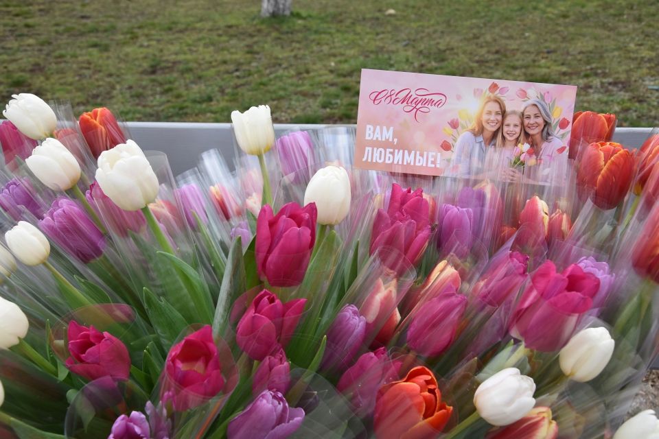 ���������� ������������� � ������������� ����� "���, �������!"