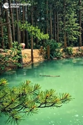 ����������? ���-�� ������ � �������? ��� �� �����!