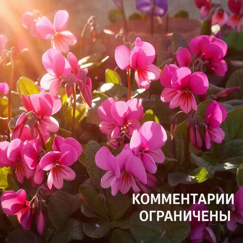 ���� �����: ��������� ��������� ������ ����������!