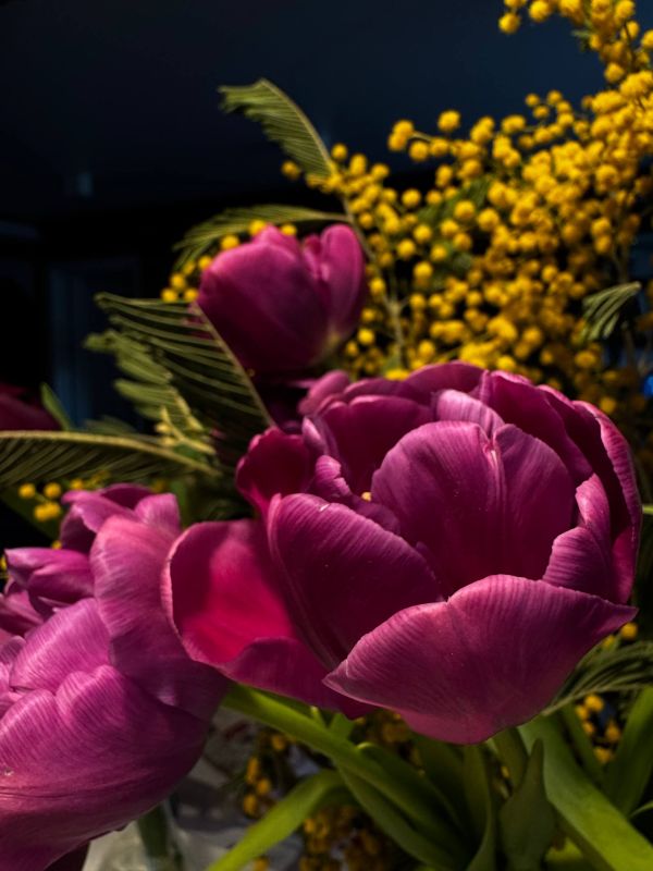 ������� ������ � ����� �� 9 �����