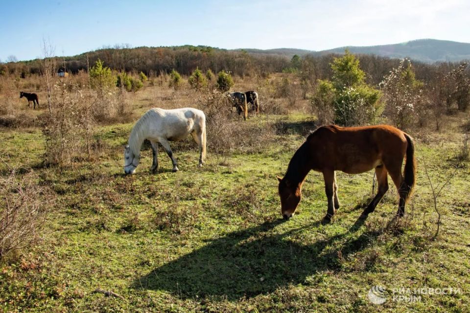Прогноз погоды в Крыму на вторник