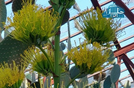 ����� 15 ���: ������ ����� ������� � �����