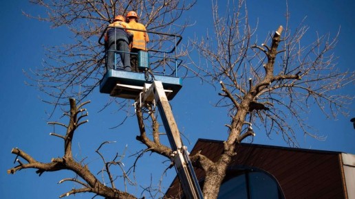 �� ����� � ����������: ��� � ����� ���� �������� ������� ������