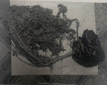 � ����������������� ������ �� ���������� �������� ��������� �������� ������� ����������