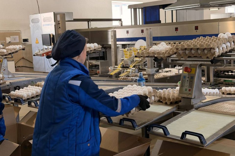 В Минсельхозе Крыма подвели итоги развития птицеводческой отрасли за 2025 год