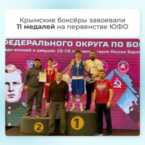 В Ростове-на-Дону подвели итоги первенства Южного федерального округа по боксу среди юношей и девушек 15-16 лет