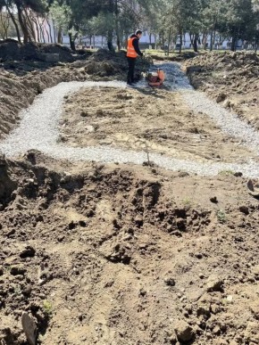 ��� ��������� ���������� ��������������� ������