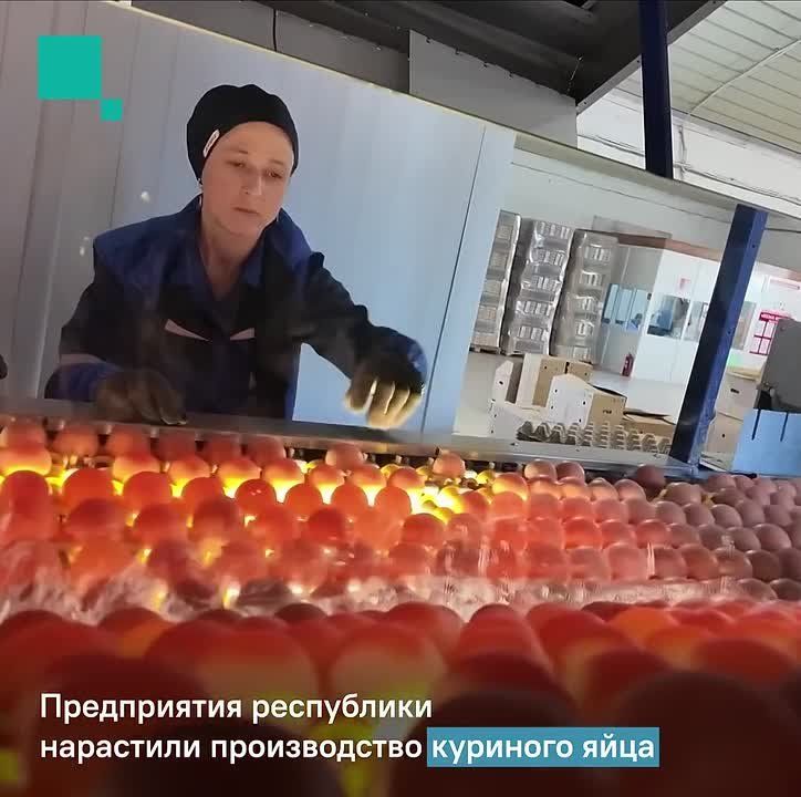 ������ � ��� � ����� ������������ ����������