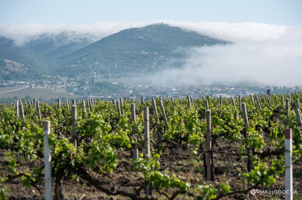 ������� ������� ������ �� �������� ���� �� ����� � �����