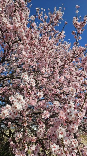 ������ ����������� � ����� ������ �������