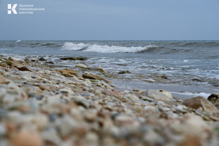 ���� ������� ������������ ���������