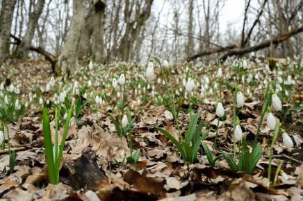 �� ��������� ����������� � ����� ������ �� 1 ��� ������ ������