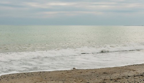 ��� �������� � �����: ����� ����� ������