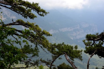 �� ������� �������� � ����� ���������� ���������� ������