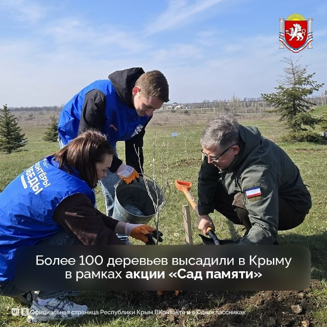 Более 100 деревьев высадили в Крыму в рамках акции «Сад памяти»