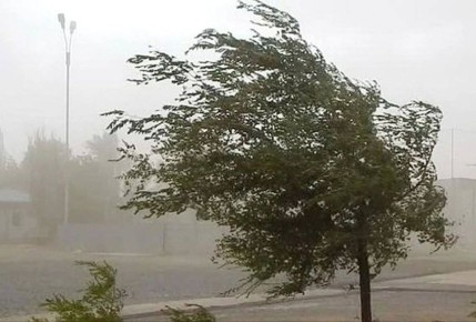 ���������� �������������� � ��������������� ���������������������� ��������