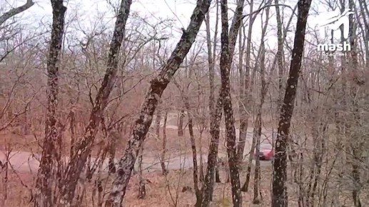 Загадка: пролетает очень быстро, но не ваши выходные?