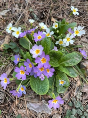 ���� ����: � ��� �������. ��������� � ���� �� ����� ����������� ������������� ������� �����