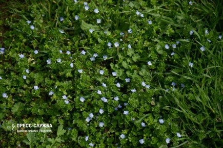 Доброе утро, Евпатория!. Температура воздуха поднимется сегодня до +13°С